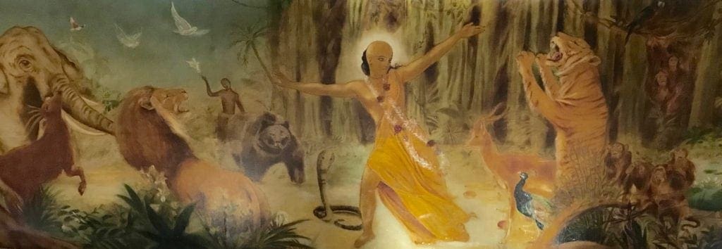 how faiths see animals